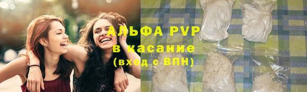 дживик Горняк