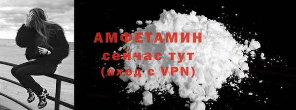 дживик Горняк