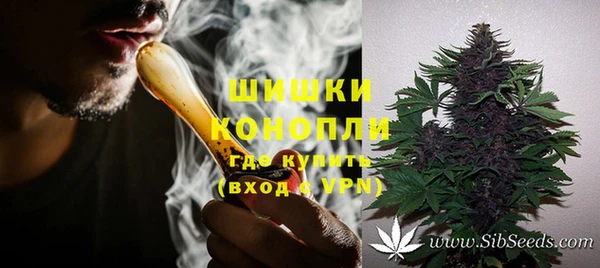 дживик Горняк