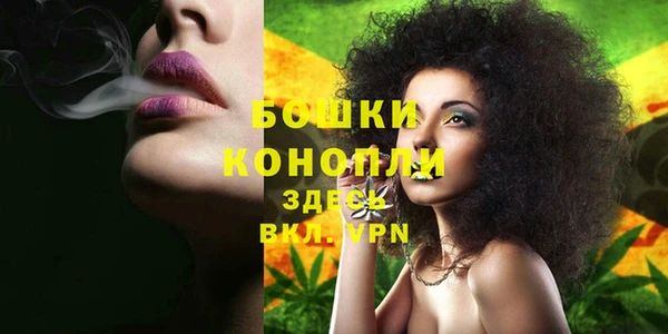 дживик Горняк