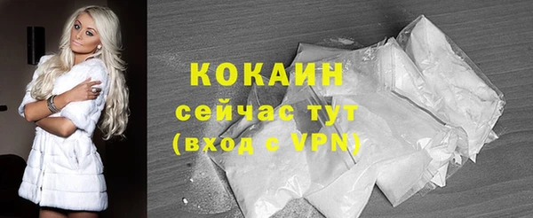 дживик Горняк